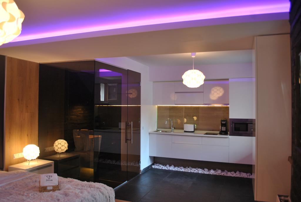 Daan Apartments คลูจ-นาโปกา ห้อง รูปภาพ